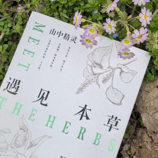 遇见本草 商品图2