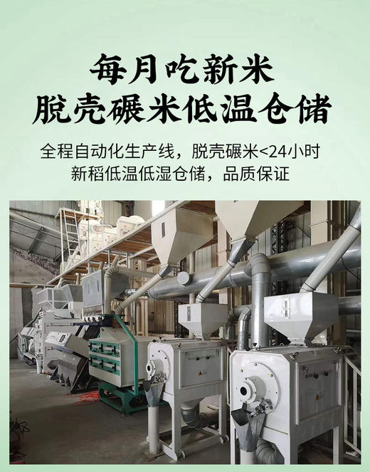 南梗46之父王才林亲自代言 零农残 极致软糯口感 零差评 商品图3