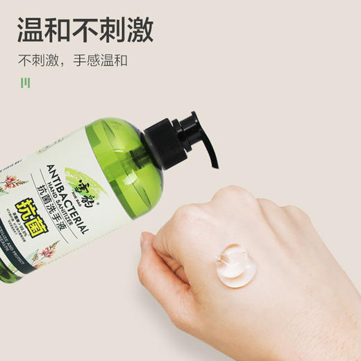 雪豹生态家清 抗菌洗手液500g成人宝宝儿童抑菌家用无磷 清香型清洁护手59008 商品图3
