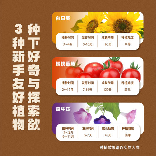 📣科答鸭种植观察作业必备❗种植福利团🏆😘超好养活的【小盆栽＋配大花盆🌱】从小种到大 💰43元起就能得到的快乐🎉有种子有土有盆🌟带孩子开启植物自然课💨在家就能感受生命教育🥇 商品图1