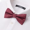 【婚礼季】柒牌男士领结配饰2025新款西装衬衫领新郎伴郎兄弟团蝴蝶结礼盒装129F70010 商品缩略图1
