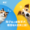 【解觅-华大宠物基因检测】猫犬品种鉴定血型遗传疾病性格饮食分析 商品缩略图2