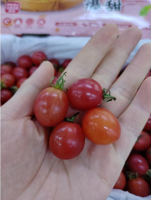 冰糖千禧柿子一箱 商品图2