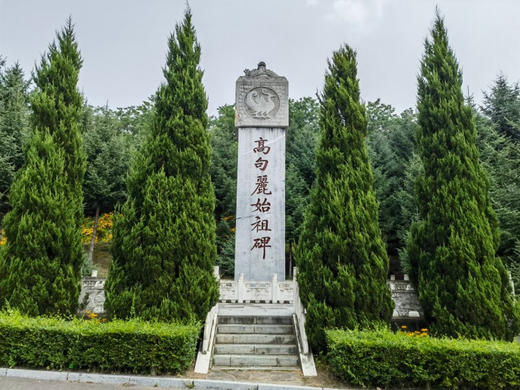 五一4日【长白山】北有长白·与云齐兮の长白山北坡-五女山杜鹃-沈阳 商品图2