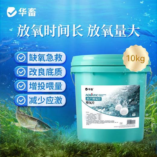 水产增氧片鱼池鱼塘应急制氧垂钓鱼打窝水产养殖鱼虾蟹粒粒氧 商品图2