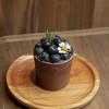 蓝莓可可杯 商品缩略图0