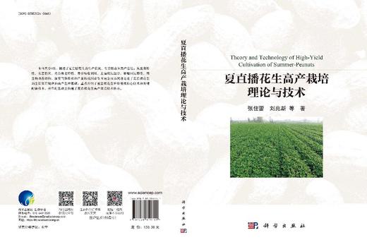 夏直播花生高产栽培理论与技术 商品图3