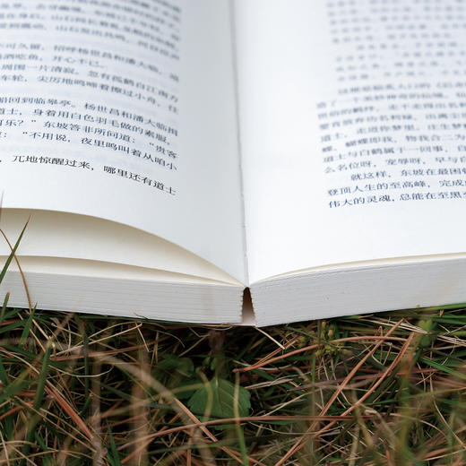 《苏东坡传：人生就是哈哈哈哈哈》 商品图9