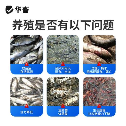 华畜vc应激灵鱼虾蟹抗应激水产养殖保苗助长维生素高稳多维应激宝 商品图1
