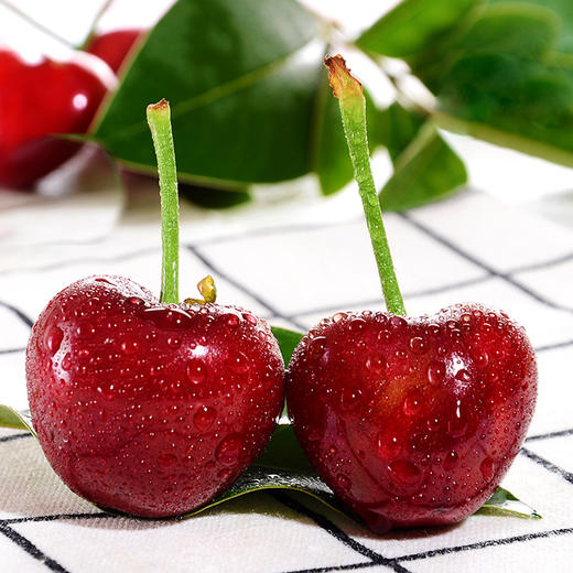 【分仓直发包邮】大连美早樱桃1斤迷你果（单果6-8g） 商品图1