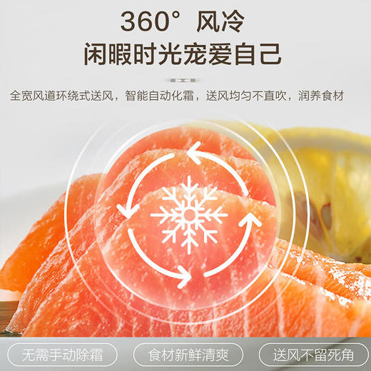 海尔冰箱170升两门风冷无霜节能低噪家用大容量电冰箱 迷你两门 宿舍租房小巧不占地方 商品图7