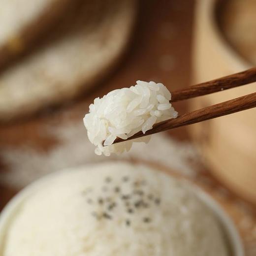 【MDL】麦臻选五常大米5kg 商品图3