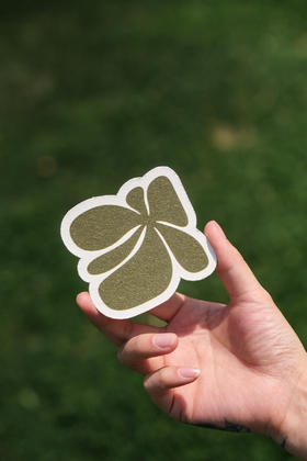 兰多琳-兰花压缩木浆棉