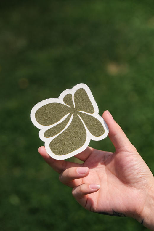 兰多琳-兰花压缩木浆棉 商品图0