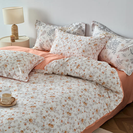 春日颂DZ 商品图2