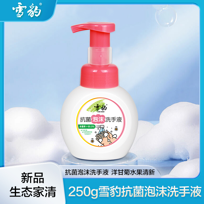 雪豹生态家清 泡沫洗手液250g 无磷水果清新 成人儿童宝宝婴儿按压式家用59009