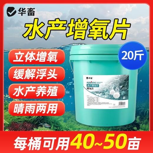 水产增氧片鱼池鱼塘应急制氧垂钓鱼打窝水产养殖鱼虾蟹粒粒氧 商品图1
