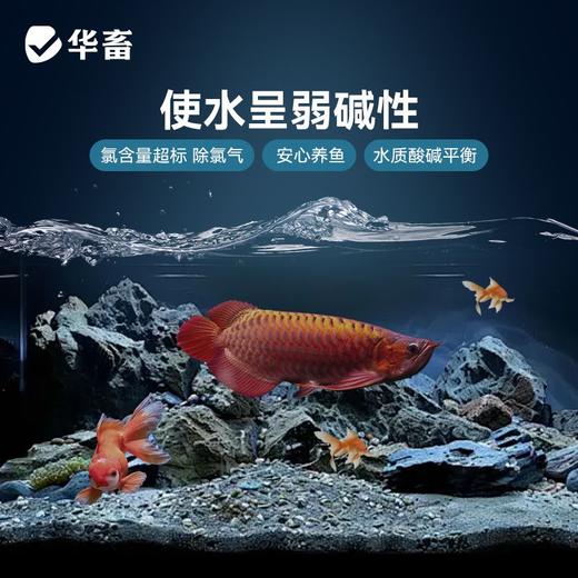 华畜鱼乐宝除氯气鱼缸净水剂水质稳定剂自来水免晒水困水平衡水质 商品图3