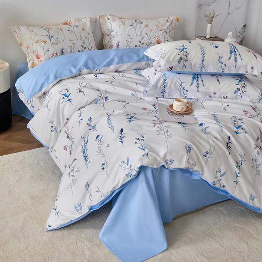 风吟漫漫DZ 商品图7