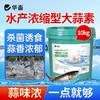 华畜浓缩大蒜素水产养殖鱼虾杀菌增食促长诱食开胃饲料添加剂正品 商品缩略图0