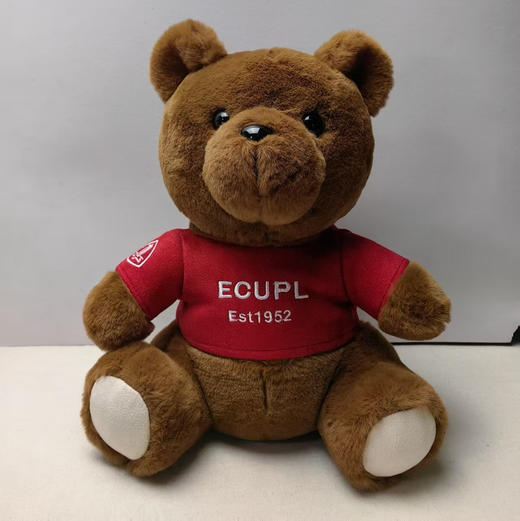 新款华政小熊（精品） 商品图2