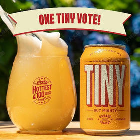 车库计划 微乎其微无醇浑浊IPA 330ml