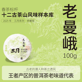 【三月系列】元昌号2025年老曼峨100克生饼