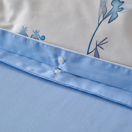 风吟漫漫DZ 商品图11