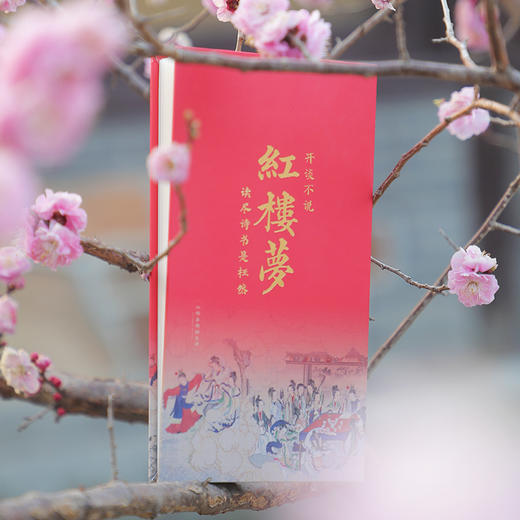 红楼梦册页 商品图0