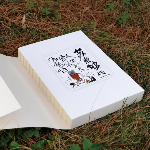 《苏东坡传：人生就是哈哈哈哈哈》 商品图4