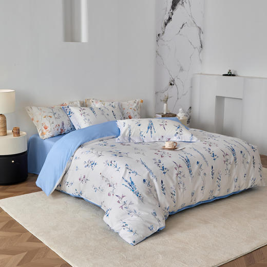 风吟漫漫DZ 商品图4