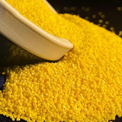 云南黄小米 高原种植日照时间长  米香清新 自然干净 金黄油亮 从源头到餐桌 多种吃法  香糯粘稠 商品图4