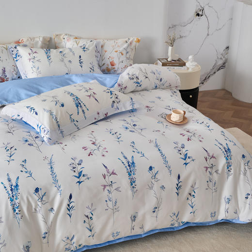 风吟漫漫DZ 商品图3