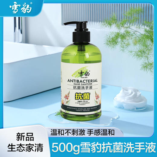 雪豹生态家清 抗菌洗手液500g成人宝宝儿童抑菌家用无磷 清香型清洁护手59008 商品图0