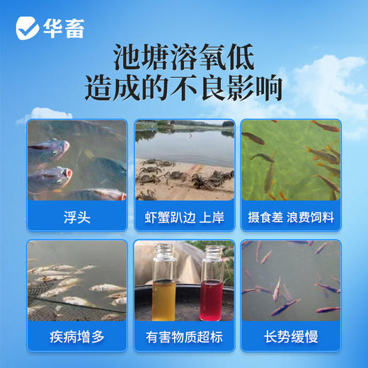 水产增氧片鱼池鱼塘应急制氧垂钓鱼打窝水产养殖鱼虾蟹粒粒氧 商品图3