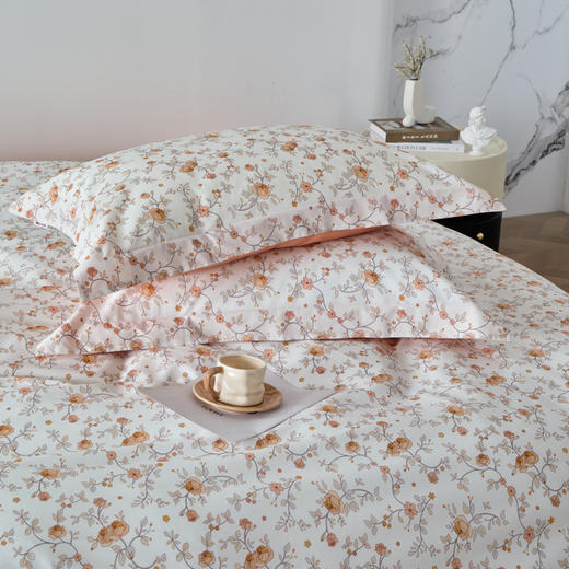 春日颂DZ 商品图8