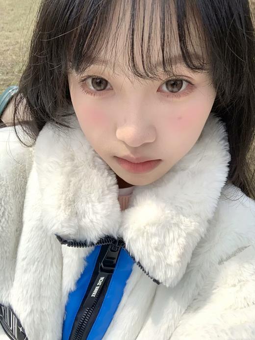 puff girl日抛美瞳 姜饼小熊 14.5mm 商品图0