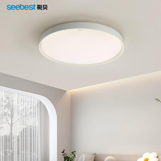 星瑞系列-客厅灯 商品图0