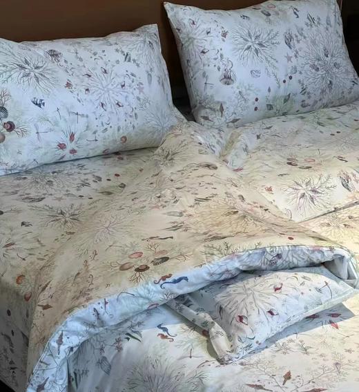 口碑推荐  意大利长绒匹马棉四件套   120支双经超长匹马棉 商品图1