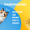 【解觅-华大宠物基因检测】猫犬品种鉴定血型遗传疾病性格饮食分析 商品缩略图5