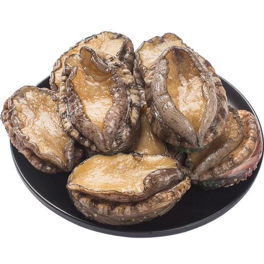 优选|鲜活鲍鱼 个大肥美  只只精选 个头均匀 口感滑爽  500g/1000g 商品图2