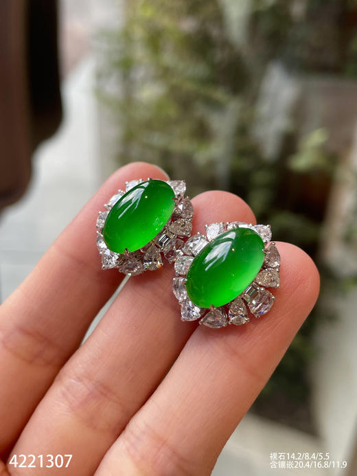 老坑玻璃种艳绿蛋面耳钉【4221307】具体价格微信咨询 商品图5