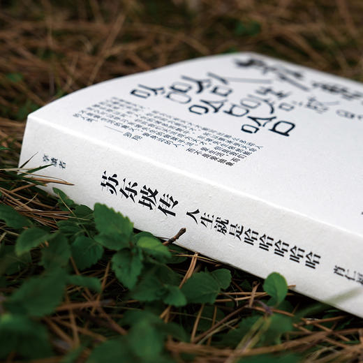 《苏东坡传：人生就是哈哈哈哈哈》 商品图10