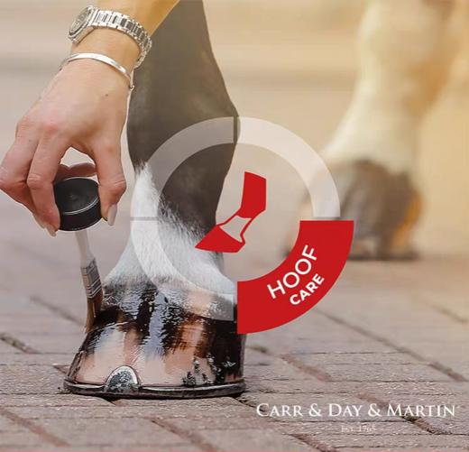 BELOVIR鞍滋养块状鞍皂马匹清洁护理 CMD 商品图2