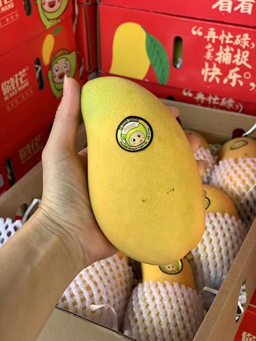海南_金煌芒（8斤大果礼盒装） 商品图1