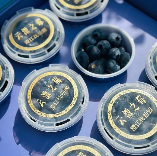 云澂之莓杯蓝莓|大颗粒，吃起来超级过瘾，粒粒脆甜，花香味儿浓郁，唇齿留香，闭眼入~ 商品图8