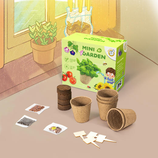 📣科答鸭种植观察作业必备❗种植福利团🏆😘超好养活的【小盆栽＋配大花盆🌱】从小种到大 💰43元起就能得到的快乐🎉有种子有土有盆🌟带孩子开启植物自然课💨在家就能感受生命教育🥇 商品图2