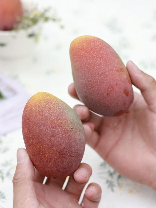 海南三亚 树上熟贵妃芒 商品图2