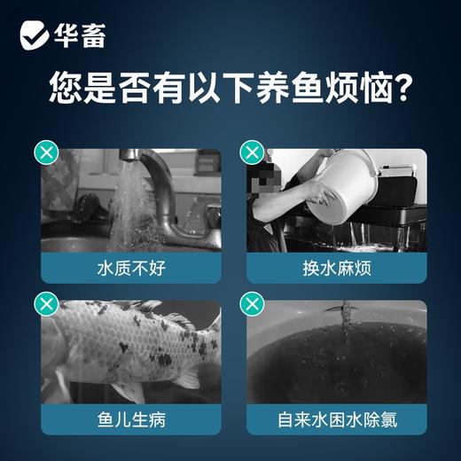 华畜鱼乐宝除氯气鱼缸净水剂水质稳定剂自来水免晒水困水平衡水质 商品图1