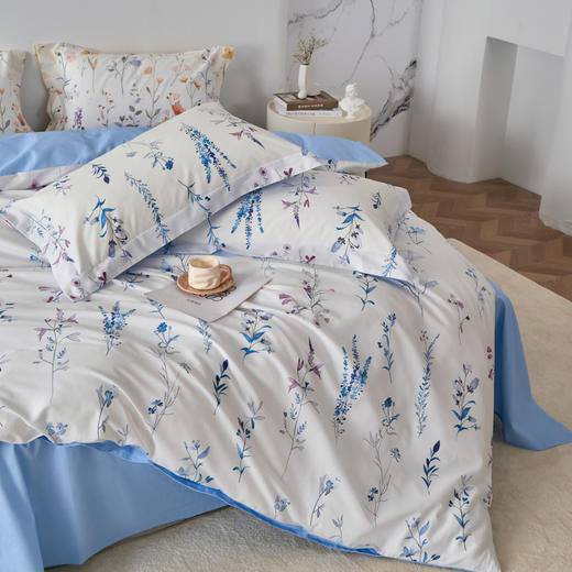 风吟漫漫DZ 商品图6